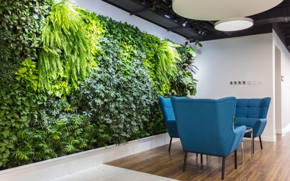 Living green wall from Shutterstock