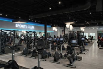 Spacious sports club gym with rows of cardio machines under a black ceiling.