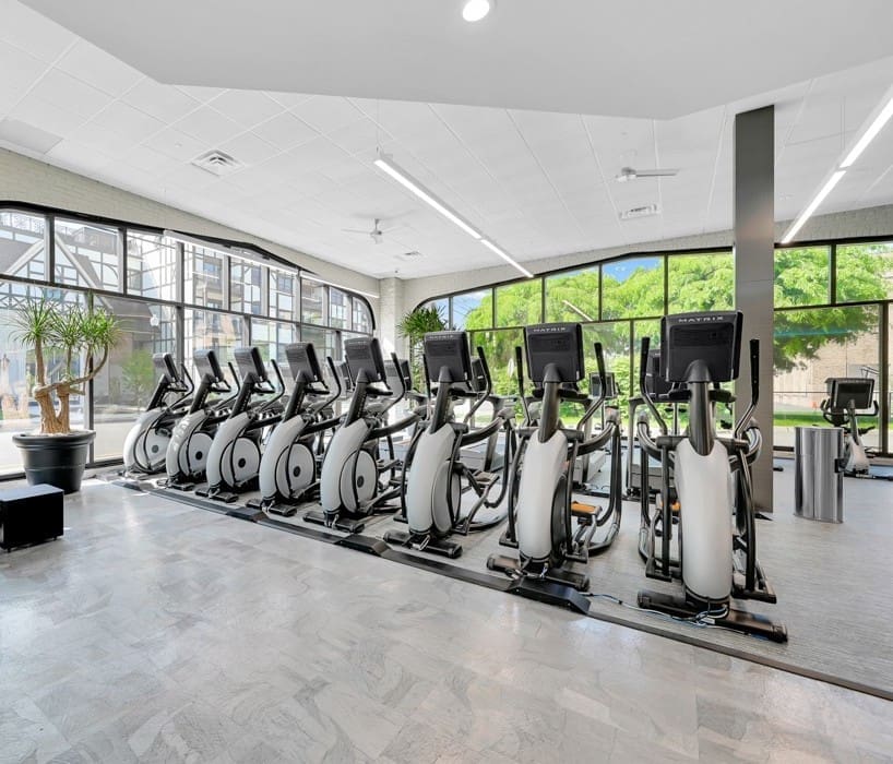 Row of elliptical machines in sunny corporate gym overlooking green courtyard